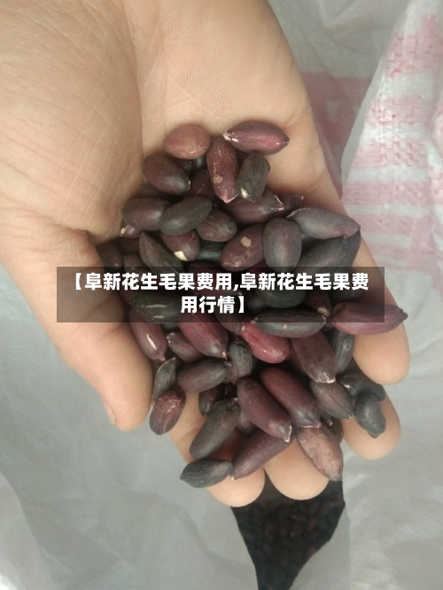 【阜新花生毛果费用,阜新花生毛果费用行情】