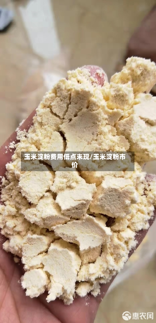 玉米淀粉费用低点未现/玉米淀粉市价