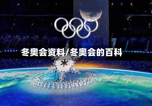 冬奥会资料/冬奥会的百科-第2张图片