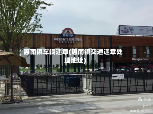 惠南镇车辆违章(惠南镇交通违章处理地址)