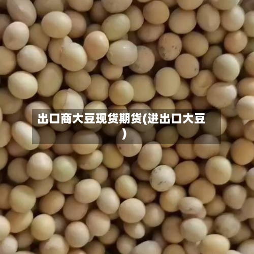 出口商大豆现货期货(进出口大豆)