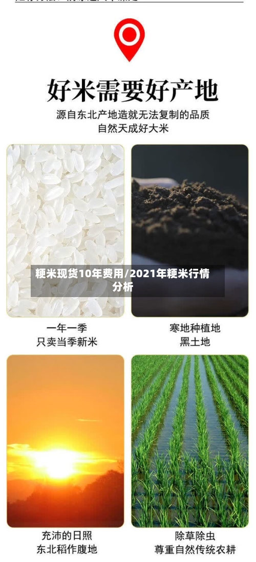 粳米现货10年费用/2021年粳米行情分析