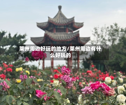 莱州周边好玩的地方/莱州周边有什么好玩的