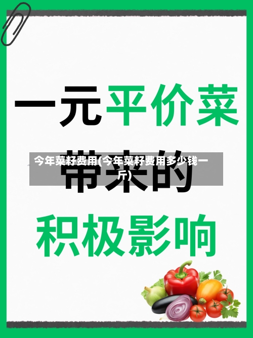 今年菜籽费用(今年菜籽费用多少钱一斤)
