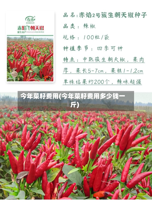 今年菜籽费用(今年菜籽费用多少钱一斤)-第3张图片