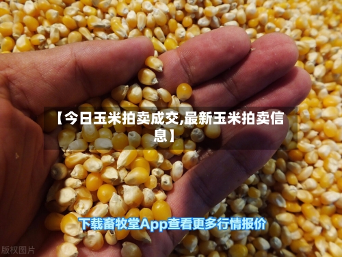 【今日玉米拍卖成交,最新玉米拍卖信息】-第2张图片