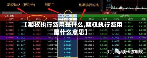 【期权执行费用是什么,期权执行费用是什么意思】-第2张图片