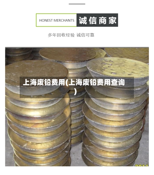 上海废铅费用(上海废铅费用查询)