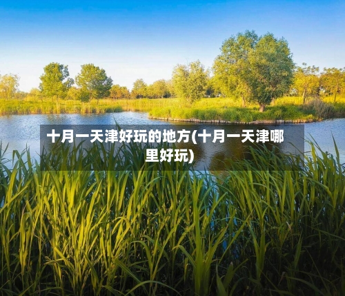 十月一天津好玩的地方(十月一天津哪里好玩)-第2张图片