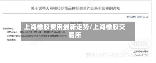 上海橡胶费用最新走势/上海橡胶交易所