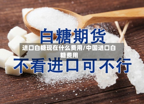 进口白糖现在什么费用/中国进口白糖费用-第2张图片