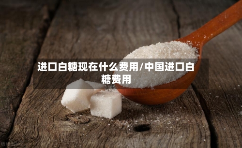 进口白糖现在什么费用/中国进口白糖费用