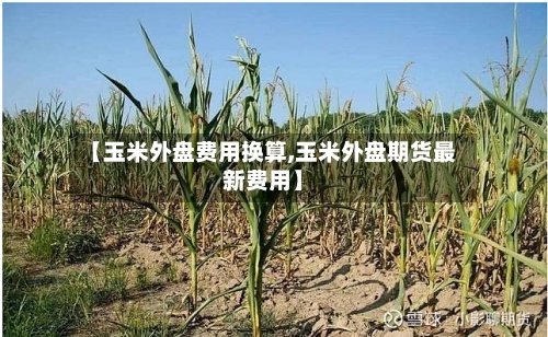 【玉米外盘费用换算,玉米外盘期货最新费用】