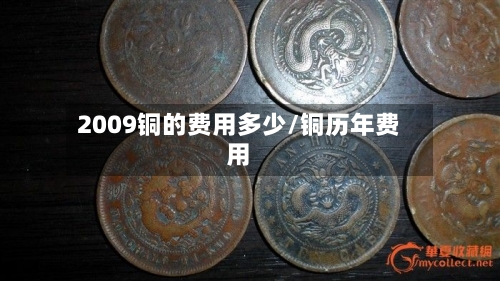 2009铜的费用多少/铜历年费用