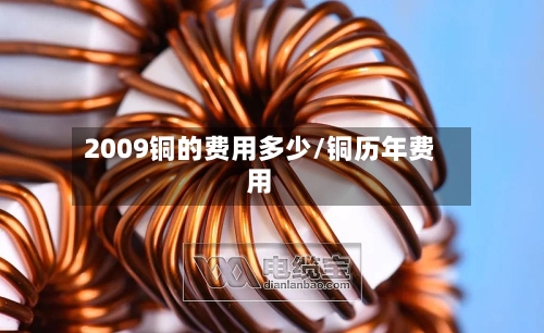 2009铜的费用多少/铜历年费用-第2张图片