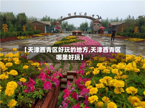 【天津西青区好玩的地方,天津西青区哪里好玩】