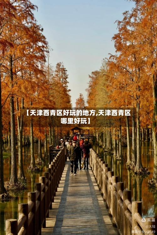 【天津西青区好玩的地方,天津西青区哪里好玩】-第3张图片