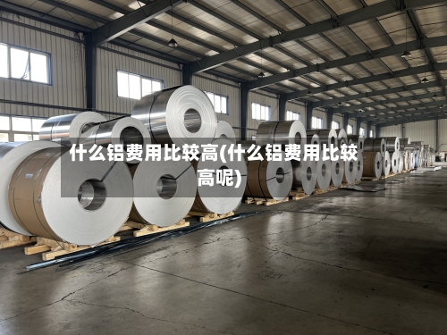 什么铝费用比较高(什么铝费用比较高呢)-第2张图片