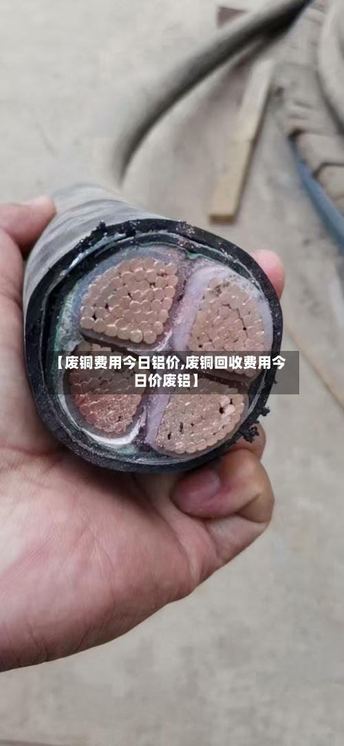 【废铜费用今日铝价,废铜回收费用今日价废铝】-第2张图片