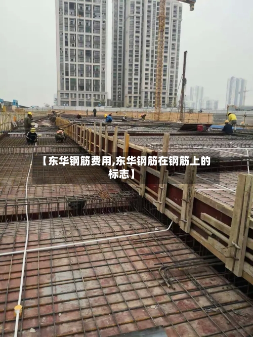 【东华钢筋费用,东华钢筋在钢筋上的标志】-第2张图片