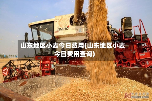 山东地区小麦今日费用(山东地区小麦今日费用查询)-第2张图片