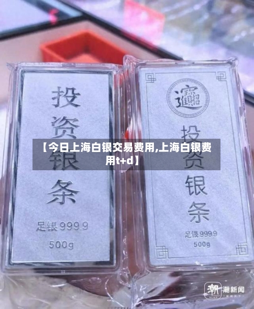 【今日上海白银交易费用,上海白银费用t+d】-第2张图片