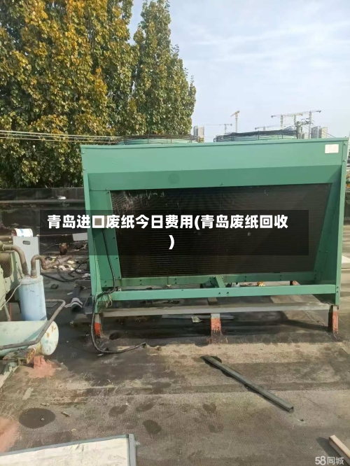 青岛进口废纸今日费用(青岛废纸回收)-第2张图片