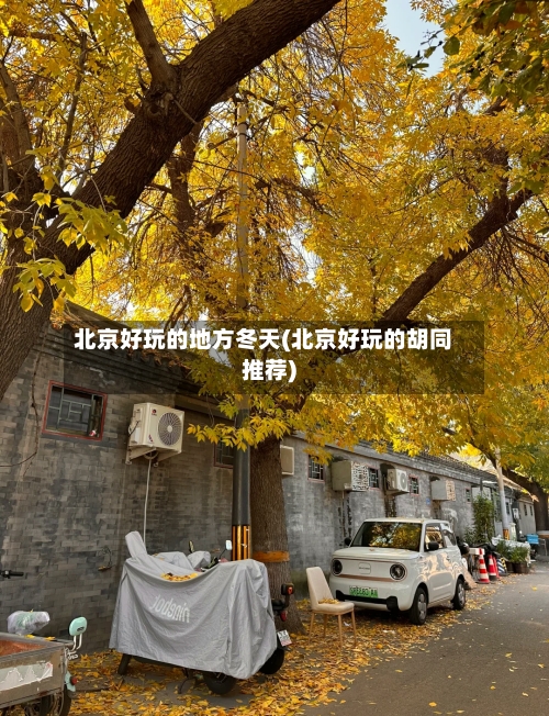 北京好玩的地方冬天(北京好玩的胡同推荐)-第2张图片