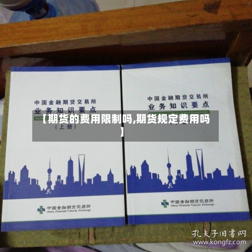 【期货的费用限制吗,期货规定费用吗】-第2张图片