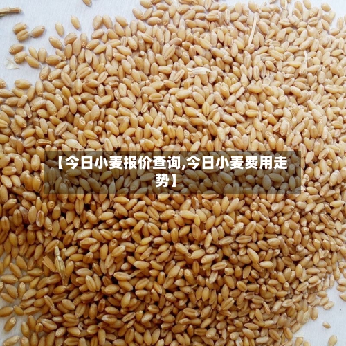 【今日小麦报价查询,今日小麦费用走势】-第2张图片