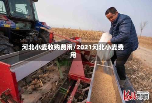河北小麦收购费用/2021河北小麦费用-第2张图片