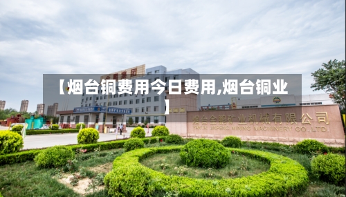 【烟台铜费用今日费用,烟台铜业】