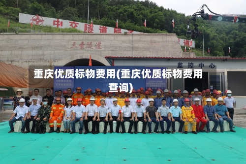 重庆优质标物费用(重庆优质标物费用查询)