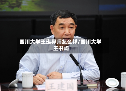 四川大学王琪导师怎么样/四川大学 王书崎