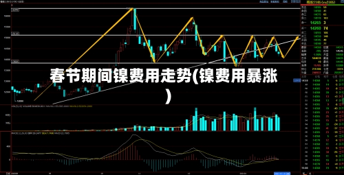 春节期间镍费用走势(镍费用暴涨)-第2张图片