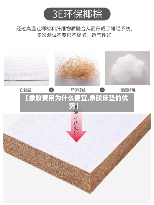 【象胶费用为什么便宜,象胶床垫的优势】-第2张图片