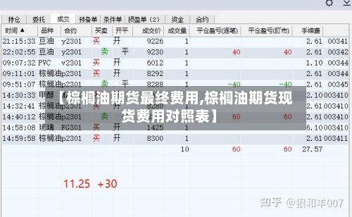【棕榈油期货最终费用,棕榈油期货现货费用对照表】-第2张图片
