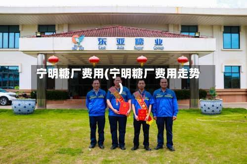 宁明糖厂费用(宁明糖厂费用走势)-第2张图片