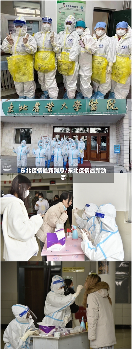 东北疫情最新消息/东北疫情最新动态-第3张图片