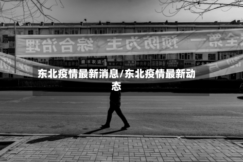 东北疫情最新消息/东北疫情最新动态-第2张图片