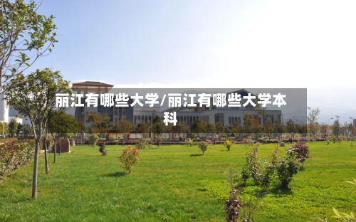 丽江有哪些大学/丽江有哪些大学本科-第2张图片