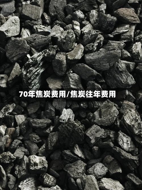 70年焦炭费用/焦炭往年费用