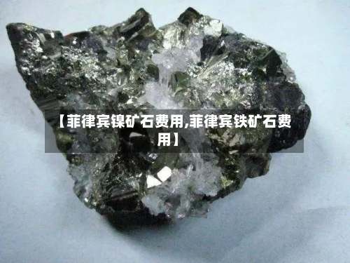 【菲律宾镍矿石费用,菲律宾铁矿石费用】