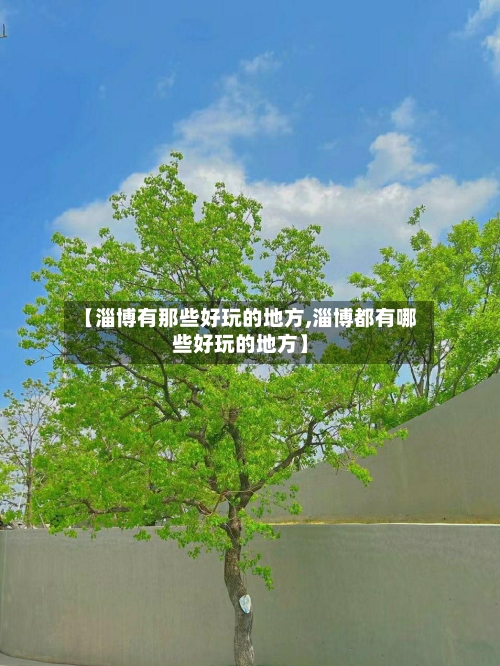 【淄博有那些好玩的地方,淄博都有哪些好玩的地方】