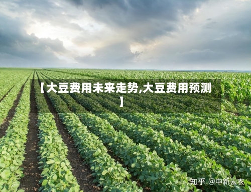 【大豆费用未来走势,大豆费用预测】