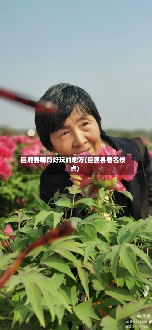 巨鹿县哪有好玩的地方(巨鹿县著名景点)