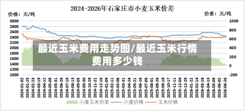 最近玉米费用走势图/最近玉米行情费用多少钱