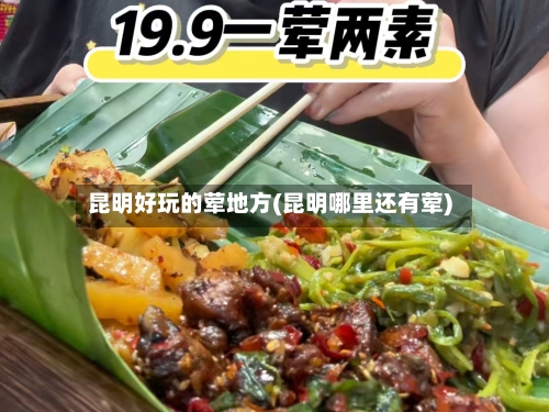 昆明好玩的荤地方(昆明哪里还有荤)-第2张图片