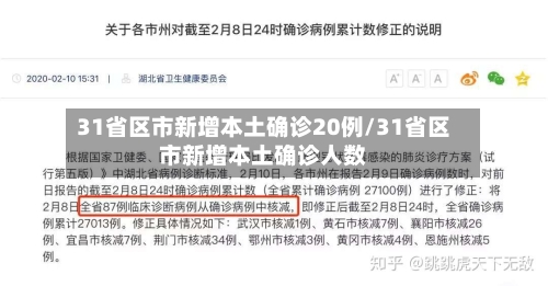 31省区市新增本土确诊20例/31省区市新增本土确诊人数
