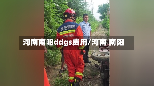 河南南阳ddgs费用/河南 南阳